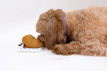 Load image into Gallery viewer, COME HERE BUDDY - CROISSANT
