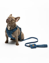 Load image into Gallery viewer, UNITED PETS - SOFT PADDED LEASH - DENIM
