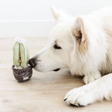 Load image into Gallery viewer, LAMBWOLF COLLECTIVE - CACTUS
