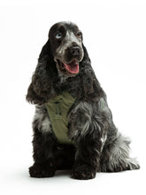 Load image into Gallery viewer, UNITED PETS - PLUSH PADDED SOFT HARNESS - GREEN
