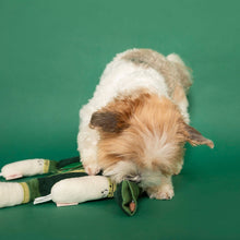 Load image into Gallery viewer, THE FURRYFOLKS - GREEN ONION
