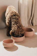 Load image into Gallery viewer, PINO PETS - CLASSIC BOWL - SALMON TERRA - SOLID
