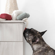 Load image into Gallery viewer, LAMBWOLF COLLECTIVE - XMAS BLOCS
