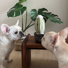 Load image into Gallery viewer, LAMBWOLF COLLECTIVE - CACTUS
