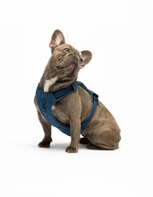 Load image into Gallery viewer, UNITED PETS - PADDED SOFT HARNESS - DENIM

