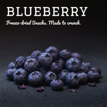 Load image into Gallery viewer, PAMICO - FREEZE DRIED BLUEBERRIES

