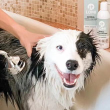 Load image into Gallery viewer, LOMI - OATMEAL SHAMPOO &amp; CONDITIONER
