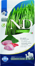 Load image into Gallery viewer, FARMINA SPIRULINA - ADULT DOG - LAMB, SPIRULINA &amp; WOLFBERRY
