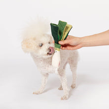Load image into Gallery viewer, THE FURRYFOLKS - GREEN ONION
