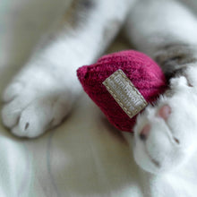 Load image into Gallery viewer, LAMBWOLF COLLECTIVE - KITTY RADISH
