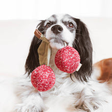 Load image into Gallery viewer, LAMBWOLF COLLECTIVE - CHERRY POP
