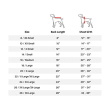 Load image into Gallery viewer, CANADA POOCH - BEACH BUM TOWEL - BLUE
