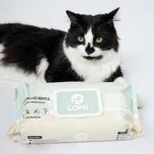 Load image into Gallery viewer, LOMI - BAMBOO GROOMING WIPES -  PREMIUM SIZE
