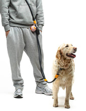 Load image into Gallery viewer, UNITED PETS - POP-A-BALL - GREEN
