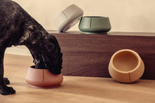 Load image into Gallery viewer, PINO - LONG EARS BOWL - CAMEL BROWN
