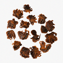 Load image into Gallery viewer, WILD N FRESH TREATS - DEHYDRATED WILD BABY OCTOPUS
