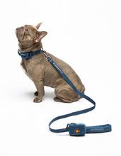 Load image into Gallery viewer, UNITED PETS - SOFT PADDED LEASH - DENIM
