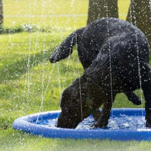Load image into Gallery viewer, CROCI - FUNSPLASH DOG POOL
