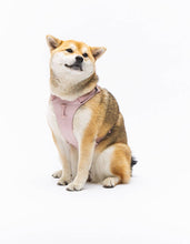 Load image into Gallery viewer, UNITED PETS - PADDED SOFT HARNESS - PINK
