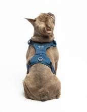 Load image into Gallery viewer, UNITED PETS - PADDED SOFT HARNESS - DENIM
