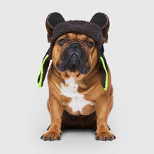 Load image into Gallery viewer, CANADA POOCH - COOL FACTOR AVIATOR HAT
