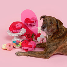 Load image into Gallery viewer, THE FURRYFOLKS - LOVE LOCKED
