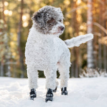 Load image into Gallery viewer, FINNERO - HALLA SOFTSHELL BOOTIES
