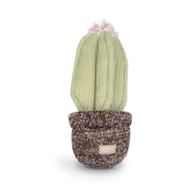 Load image into Gallery viewer, LAMBWOLF COLLECTIVE - CACTUS
