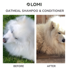 Load image into Gallery viewer, LOMI - OATMEAL SHAMPOO &amp; CONDITIONER
