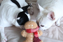 Load image into Gallery viewer, LAMBWOLF COLLECTIVE - MISTER GINGERBREAD
