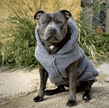 Load image into Gallery viewer, SPARK PAWS - TEDDY SHERPA JACKET - GREY
