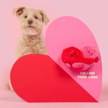 Load image into Gallery viewer, THE FURRYFOLKS - LOVE LOCKED
