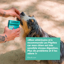 Load image into Gallery viewer, DELAMOUR - LES PÉPITES ON THE GO - AIR DRIED DUCK TREATS

