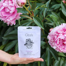 Load image into Gallery viewer, GIZZLS - CALMING SOFT TREATS
