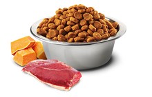 Load image into Gallery viewer, FARMINA PUMPKIN - ADULT DOG  - DUCK, PUMPKIN &amp; CANTALOUPE MELON
