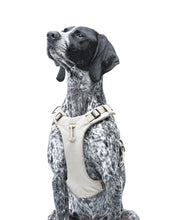 Load image into Gallery viewer, UNITED PETS - PADDED SOFT HARNESS - BEIGE

