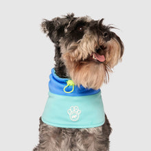 Load image into Gallery viewer, CANADA POOCH - MAX CHILL COOLING SNOOD - BLUE
