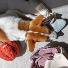 Load image into Gallery viewer, LAMBWOLF COLLECTIVE - PEPPER
