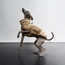 Load image into Gallery viewer, CLOUD7 - DOG COAT ALASKA - SANDY BROWN
