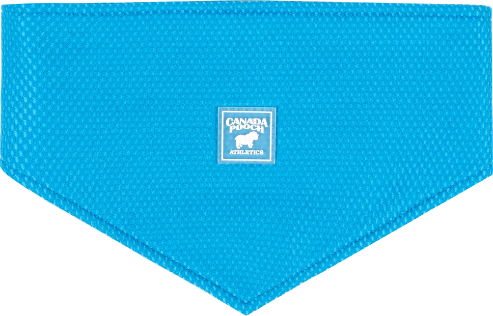 CANADA POOCH - CHILL SEEKER COOLING BANDANA BLUE