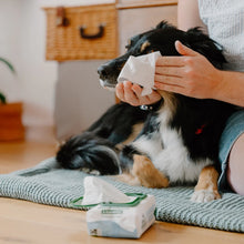 Load image into Gallery viewer, BECO - EYE WIPES - UNSCENTED
