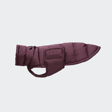 Load image into Gallery viewer, CLOUD7 - DACHSHUND COAT ALASKA - AUBERGINE
