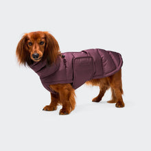 Load image into Gallery viewer, CLOUD7 - DACHSHUND COAT ALASKA - AUBERGINE
