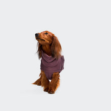 Load image into Gallery viewer, CLOUD7 - DACHSHUND COAT ALASKA - AUBERGINE
