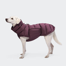 Load image into Gallery viewer, CLOUD7 - DOG COAT ALASKA - DARK AUBERGINE
