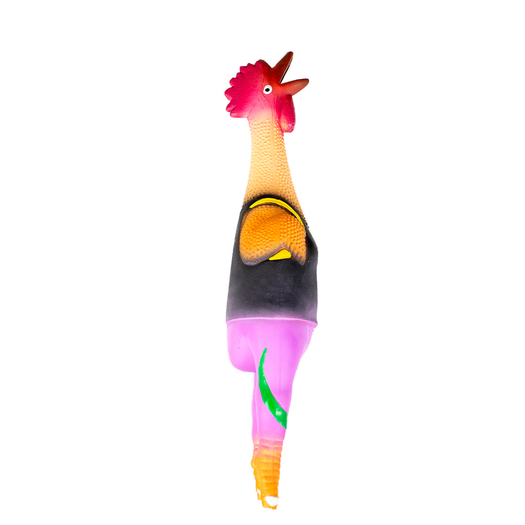 CHICKEN WITH TRACKSUIT