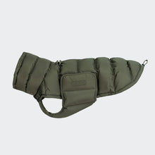 Load image into Gallery viewer, CLOUD7 - DOG COAT ALASKA - LIGHT OLIVE
