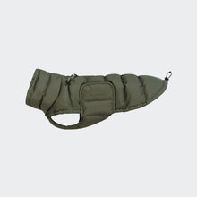 Load image into Gallery viewer, CLOUD7 - DACHSHUND COAT ALASKA - LIGHT OLIVE
