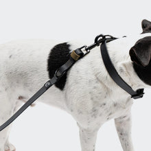 Load image into Gallery viewer, CLOUD7 - ADJUSTABLE BIOTHANE
