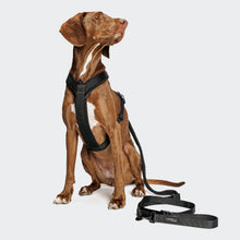 Load image into Gallery viewer, CLOUD7 - L2 JOGGING LEASH AKTIV BLACK
